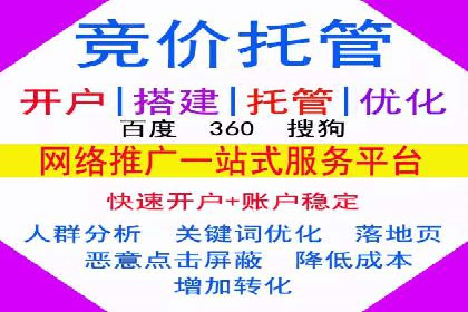 百度广告竞价策略详解：某电商平台的成功案例